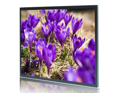 DLF1768 Sunlight Readable LCD Display